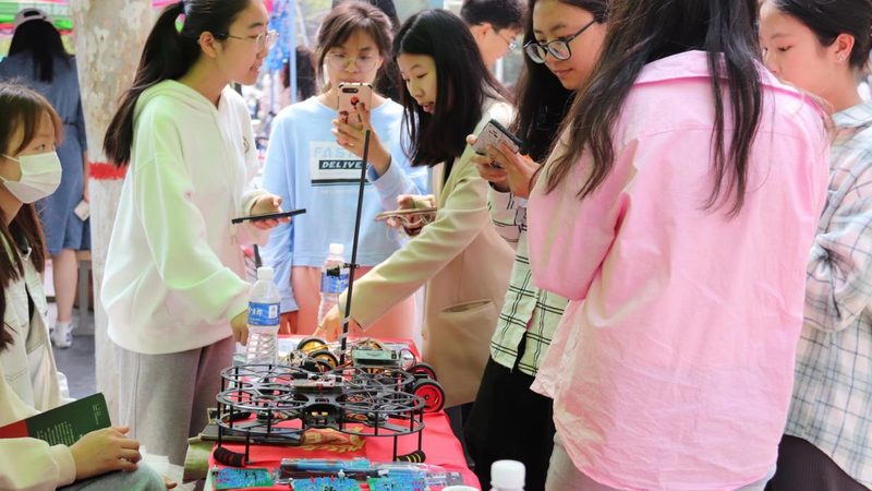 知识表示学习方法：探寻高效智能的奥秘